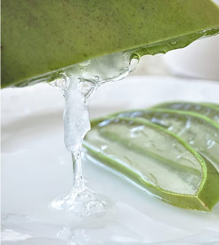 Purified Leaf Liquid